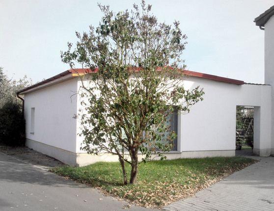 Ferienhaus-Poweleit Börgerende-Rethwisch المظهر الخارجي الصورة